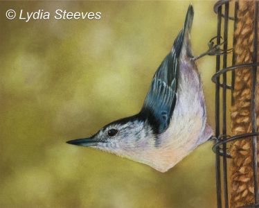 July Afternoon CP e-Packet